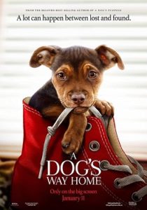 فيلم A Dog’s Way Home 2019 مترجم